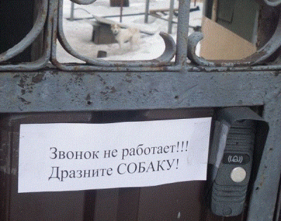 Прикрепленное изображение: dog.gif